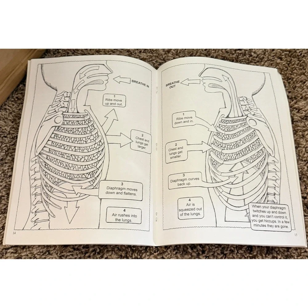 Doyer Publishing-My first Human Body Coloring book (NWT)